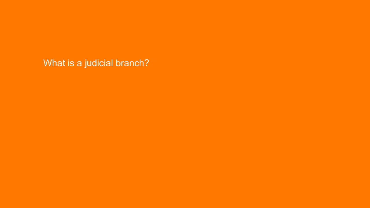 , What is a judicial branch?