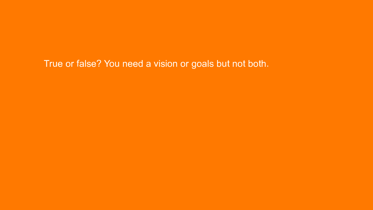 , True or false? You need a vision or goals but not both&#8230;.